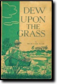 dew upon the grass